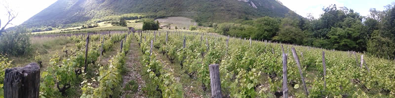 Cellier Baraterie Panoramique 1